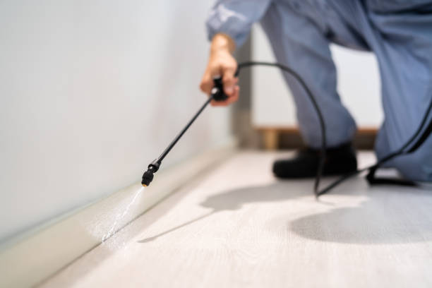 Rodent Entry Point Assessment in Fountain Inn