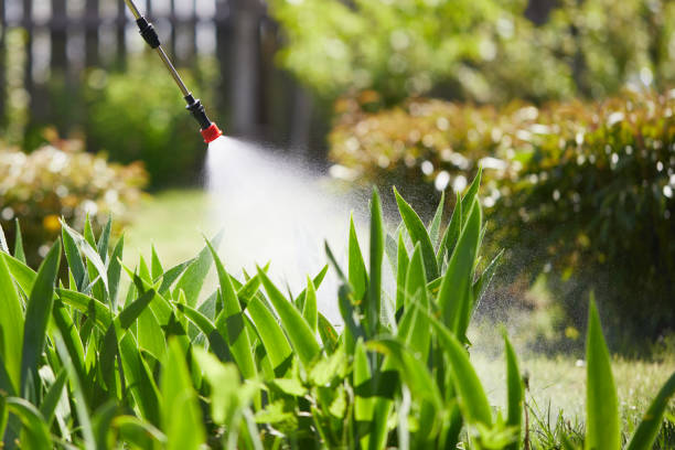 Tamper-Resistant Bait Stations for Rodents in Fountain Inn