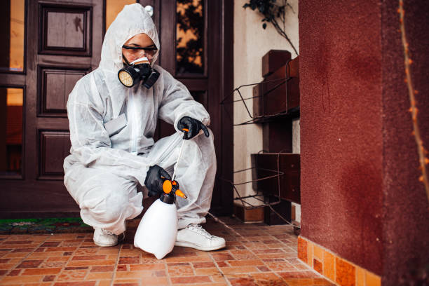 Attic and Crawl Space Rodent Treatment in Fountain Inn