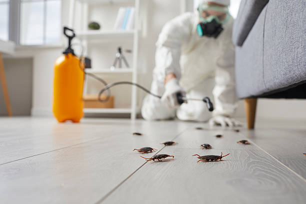 Commercial Rodent Management in Fountain Inn